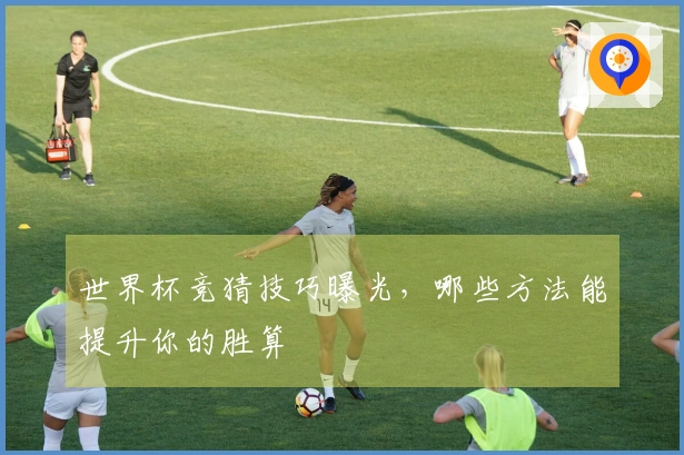 世界杯竞猜技巧曝光，哪些方法能提升你的胜算
