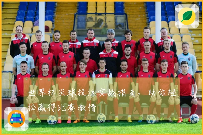 世界杯买球投注实战指南，助你轻松赢得比赛激情