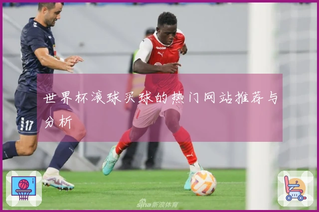 世界杯滚球买球的热门网站推荐与分析