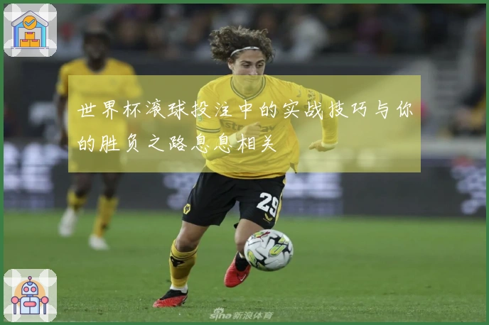 世界杯滚球投注中的实战技巧与你的胜负之路息息相关