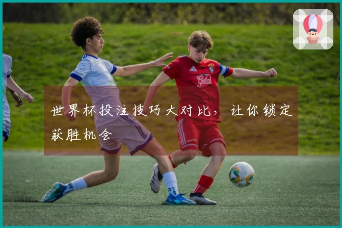 世界杯投注技巧大对比，让你锁定获胜机会