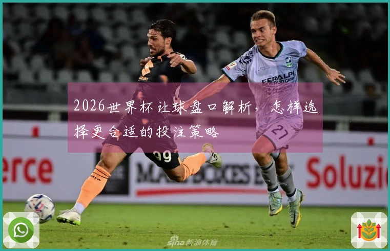 2026世界杯让球盘口解析，怎样选择更合适的投注策略