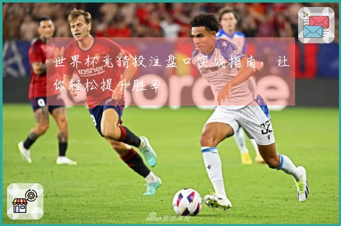 世界杯竞猜投注盘口实战指南，让你轻松提升胜率