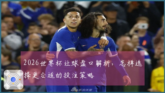 2026世界杯让球盘口解析，怎样选择更合适的投注策略