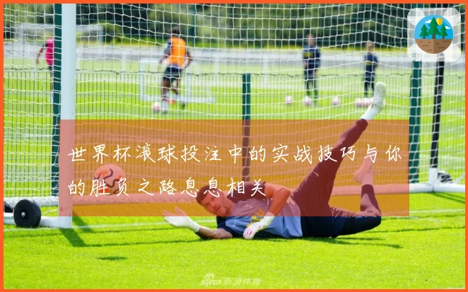 世界杯滚球投注中的实战技巧与你的胜负之路息息相关