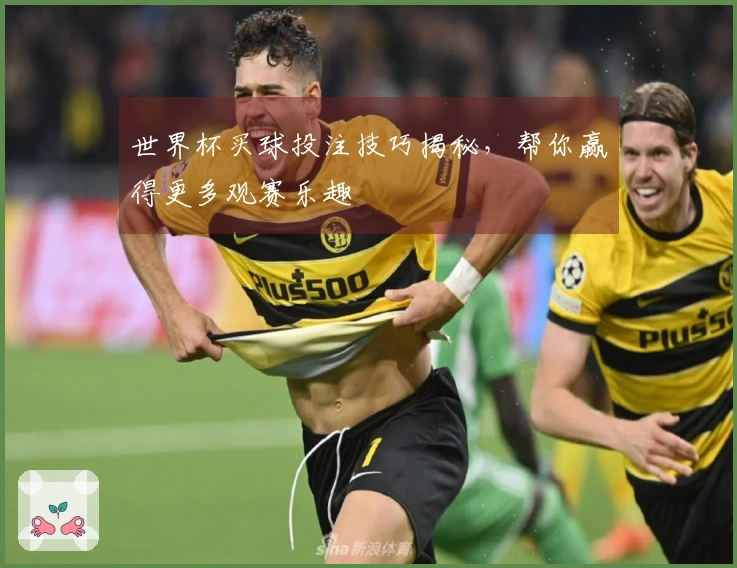 世界杯买球投注技巧揭秘，帮你赢得更多观赛乐趣