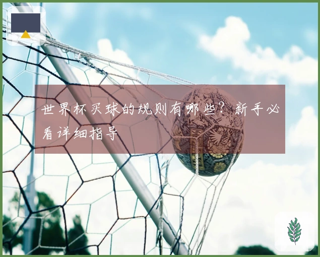 世界杯买球的规则有哪些？新手必看详细指导