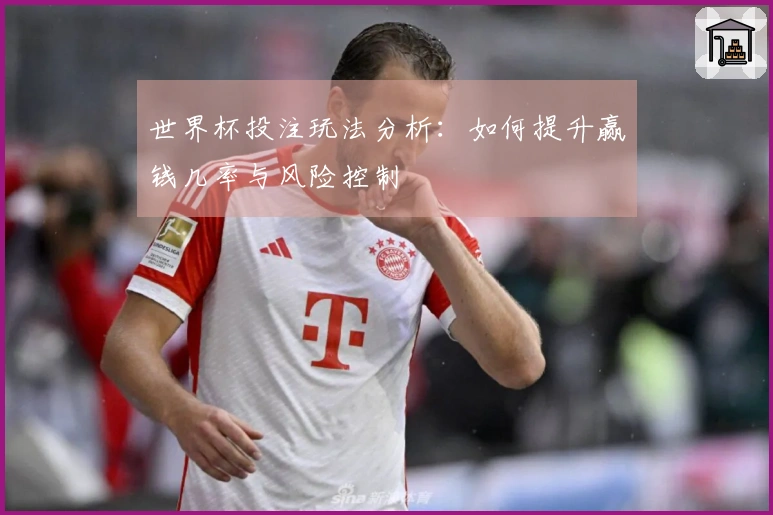 世界杯投注玩法分析：如何提升赢钱几率与风险控制